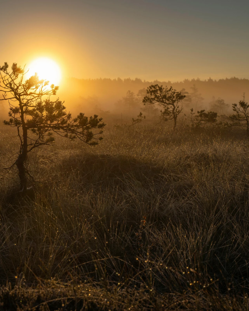 Herfst ochtend, opkomende zon