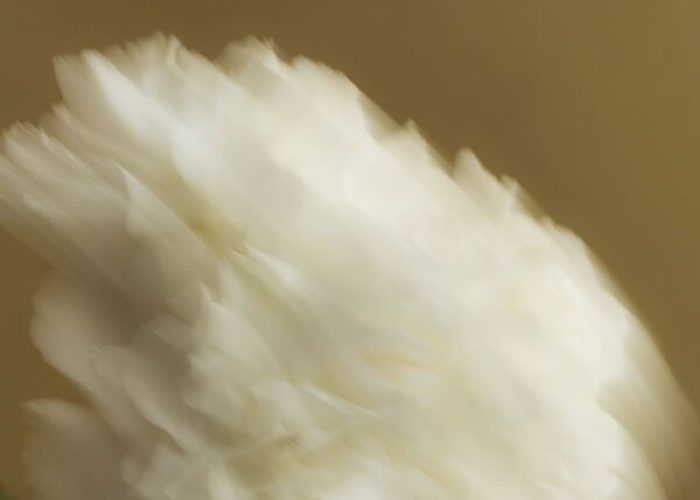 12ae1f9ac9dbf47f129fa316e23bd6ad3a51170c