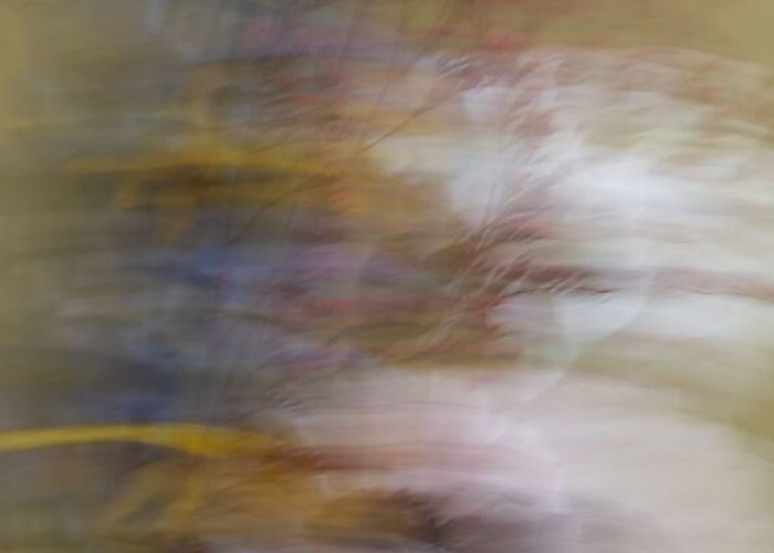 55de86e68f351b1b4ca2a43ceb65aa226ddc7d4a